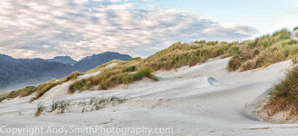 Dunes in the Late Afternoon